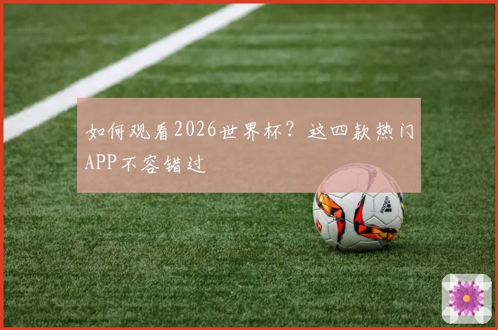 如何观看2026世界杯？这四款热门APP不容错过