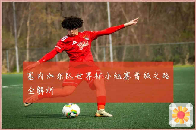 塞内加尔队世界杯小组赛晋级之路全解析