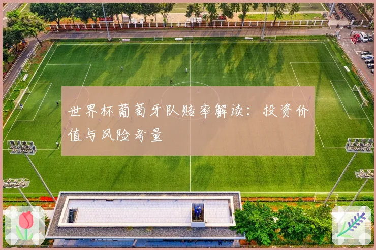 世界杯葡萄牙队赔率解读：投资价值与风险考量